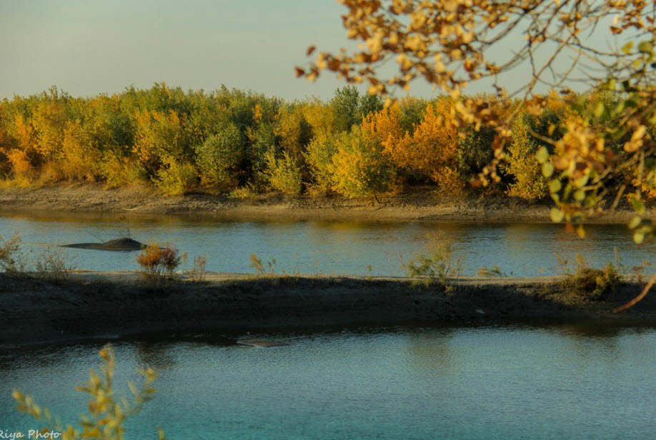 Badai-Tugai Nature Reserve, Bukhara Region, Uzbekistan